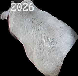 Crop