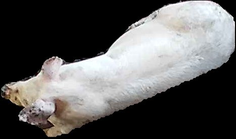 Crop