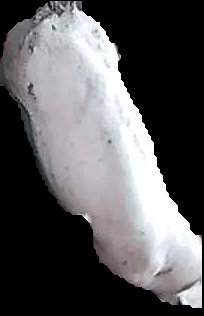 Crop