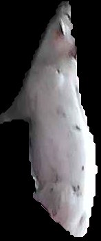 Crop