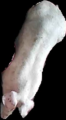 Crop