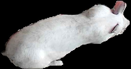 Crop