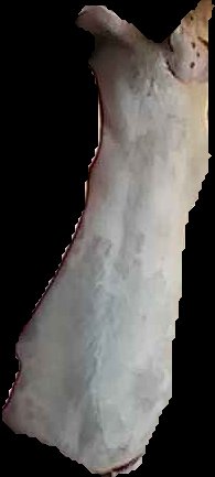 Crop