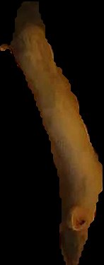 Crop
