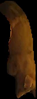 Crop