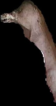 Crop