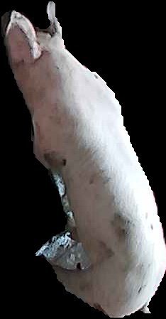 Crop