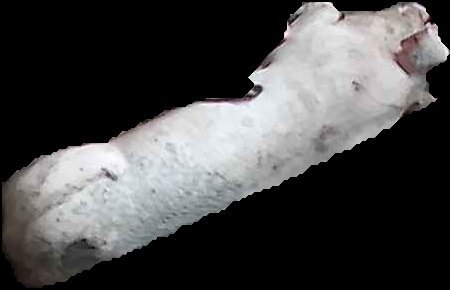 Crop