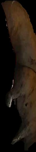 Crop