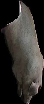 Crop