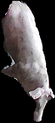 Crop