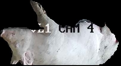 Crop