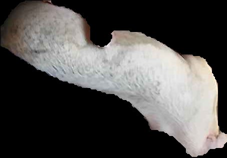 Crop