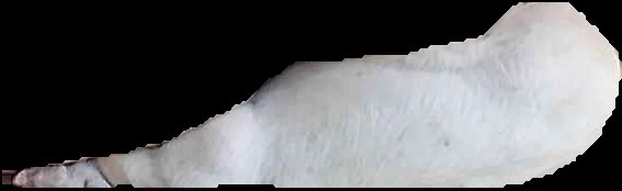 Crop