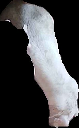 Crop