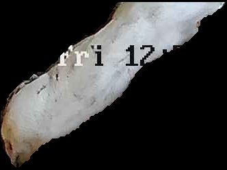Crop