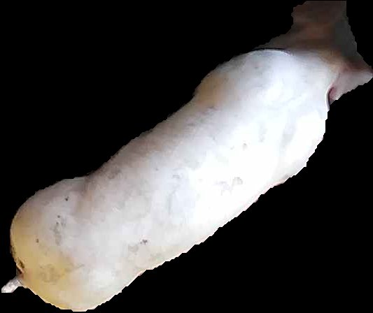 Crop