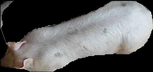 Crop