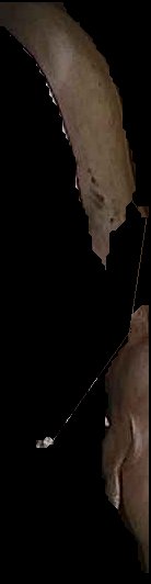 Crop