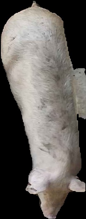 Crop
