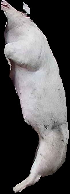 Crop