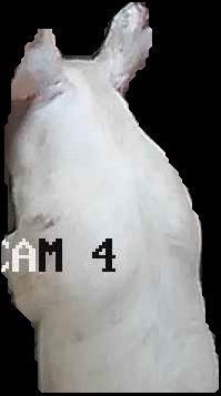 Crop