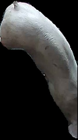 Crop