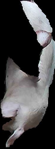Crop