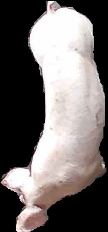 Crop