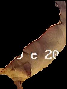 Crop