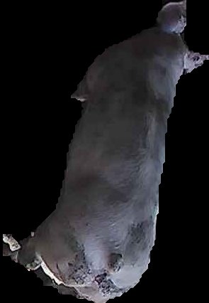 Crop
