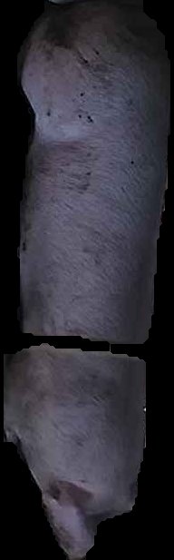 Crop