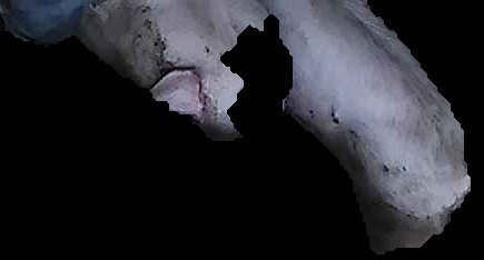 Crop