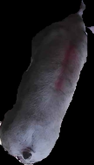 Crop