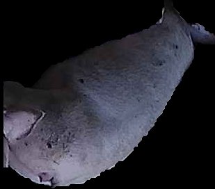 Crop