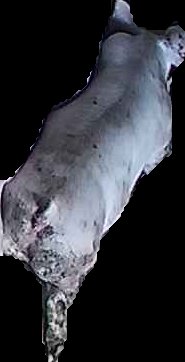 Crop