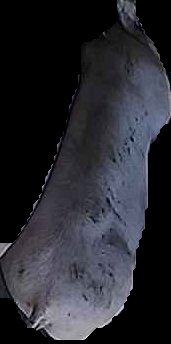 Crop