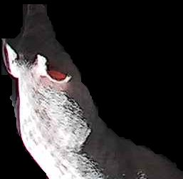 Crop