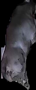 Crop