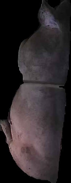 Crop