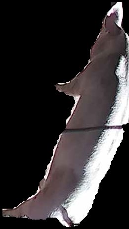 Crop