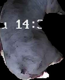 Crop