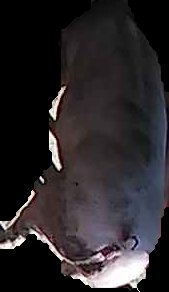 Crop