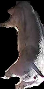 Crop
