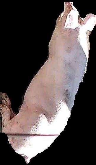 Crop