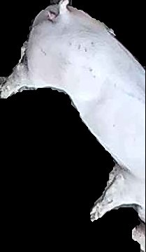 Crop