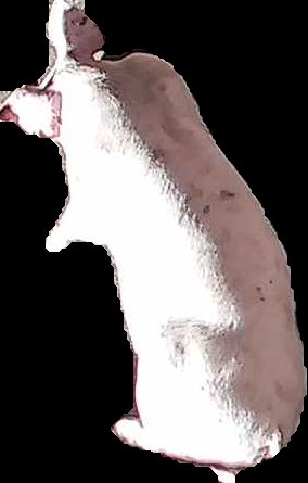 Crop