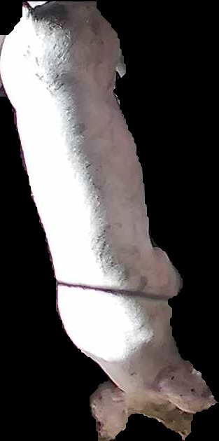 Crop