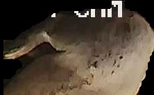 Crop