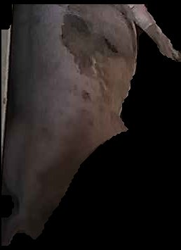 Crop